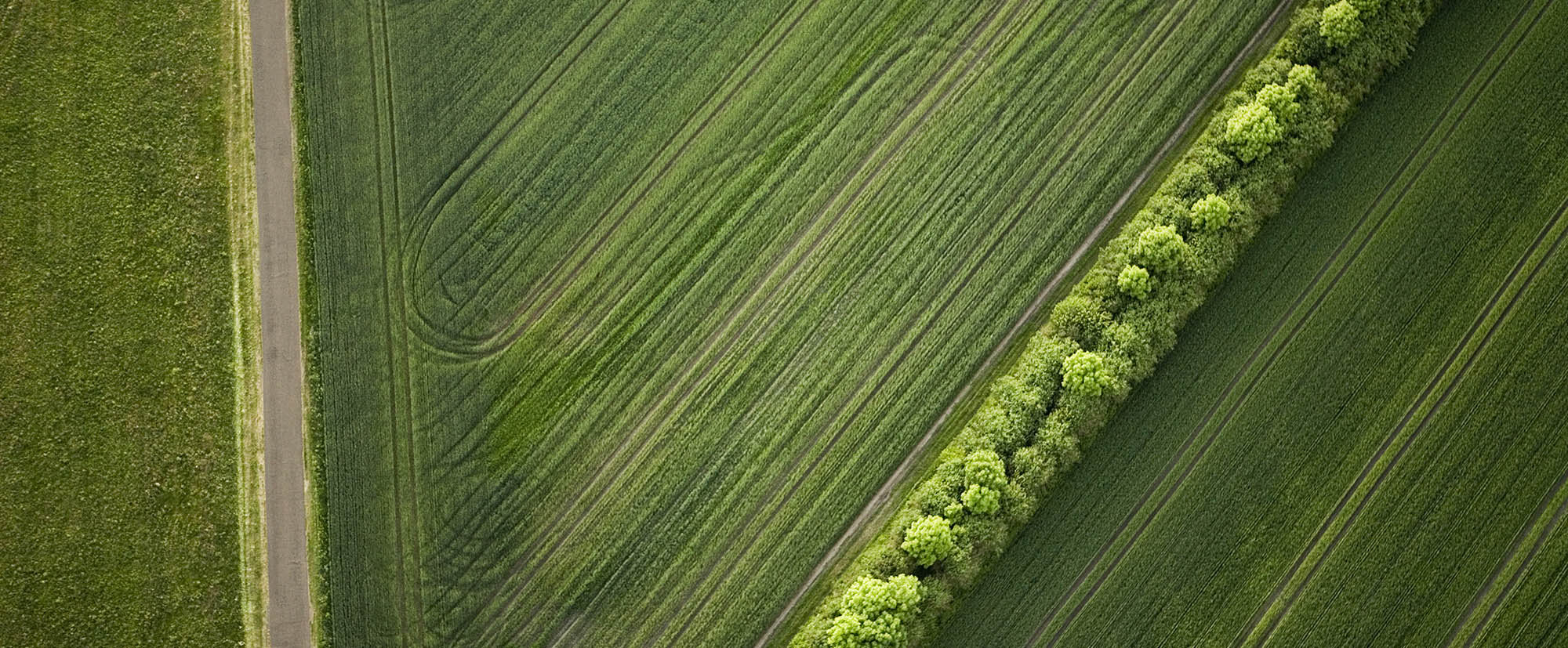 Axeda Entreprenad 2000Px